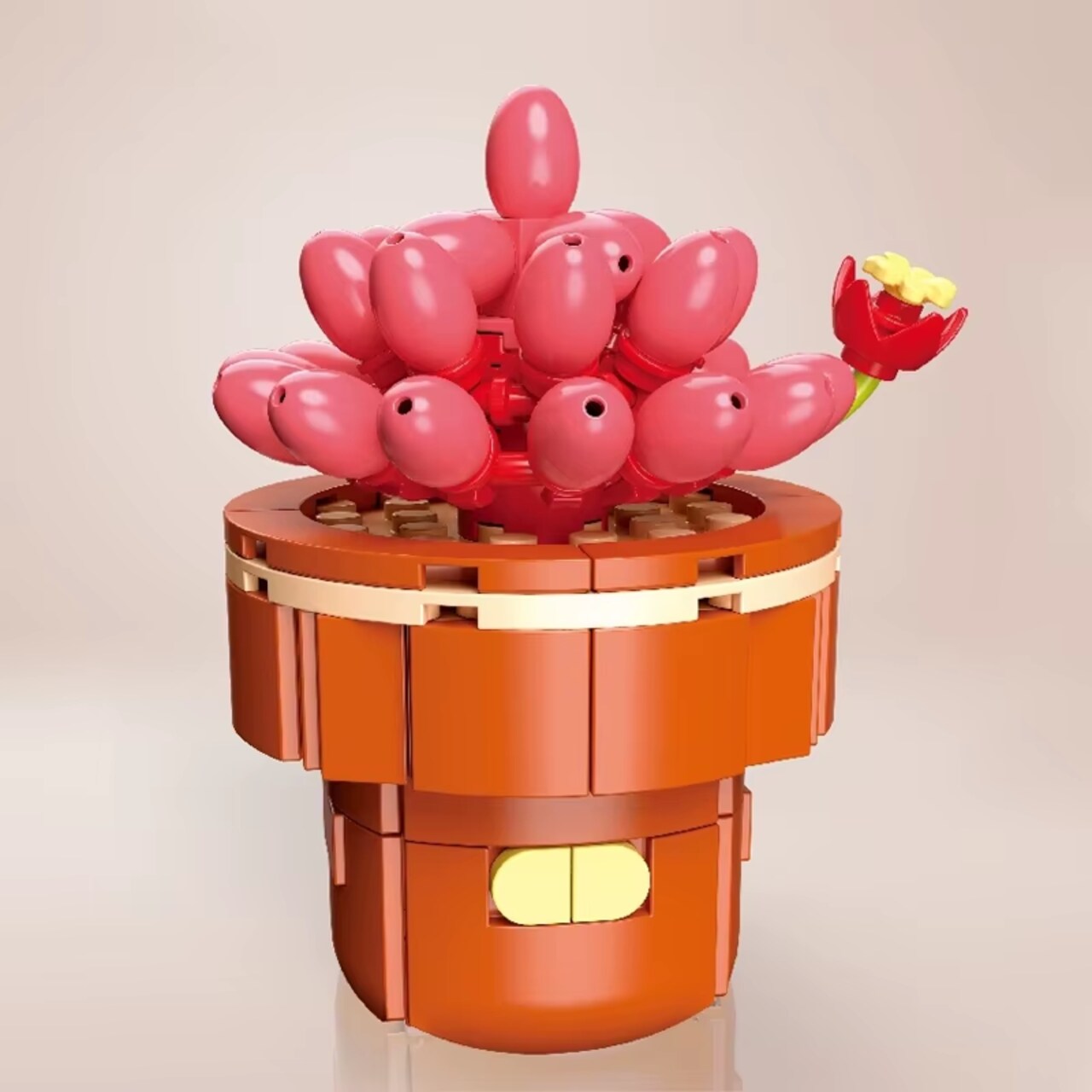 Plant Building Brick Kit - Adromischus by Wizardi F07N11-29-30(113)